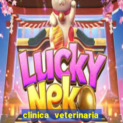 clinica veterinaria cuidar betim